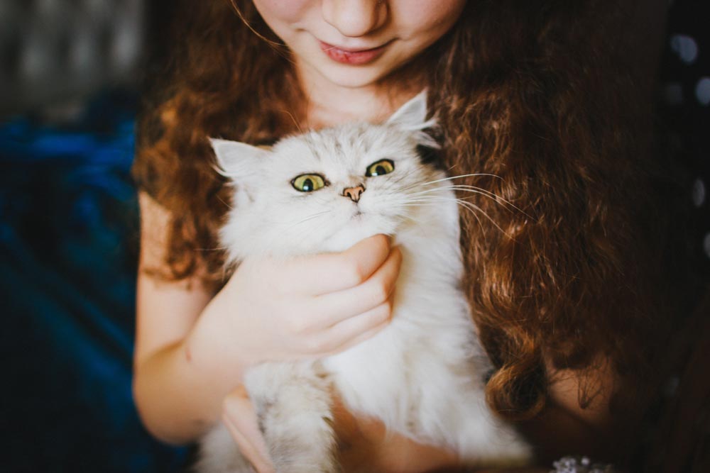 pet photography