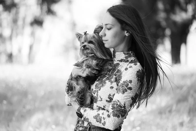 Esempi foto animali domestici con cani e gatti